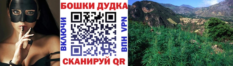 Что такое Берёзовский Alpha PVP  ГАШ  Бошки Шишки  Кокаин 