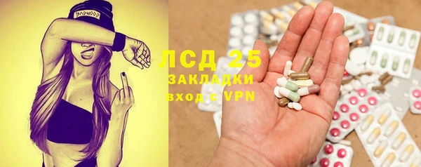 стаф Алзамай