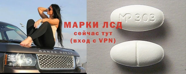 стаф Алзамай