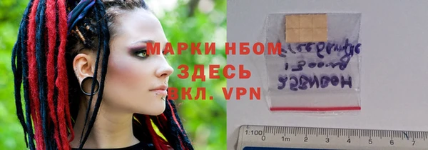 стаф Алзамай
