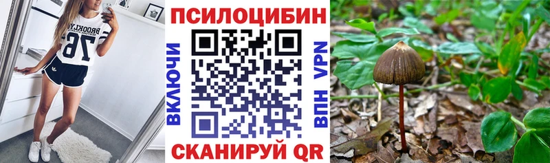 Псилоцибиновые грибы Magic Shrooms Берёзовский